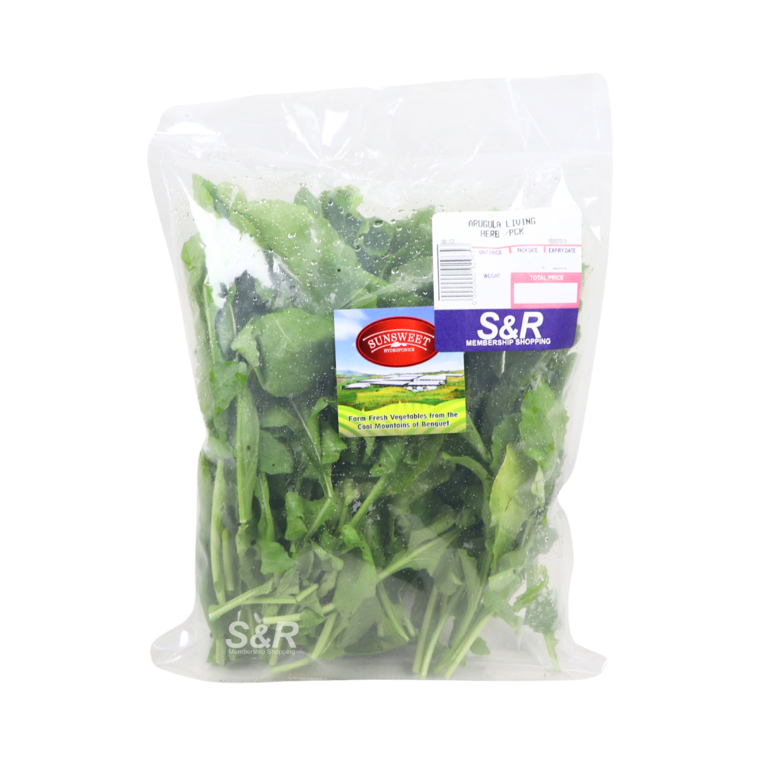 Sunsweet Arugula Living Herb Pack